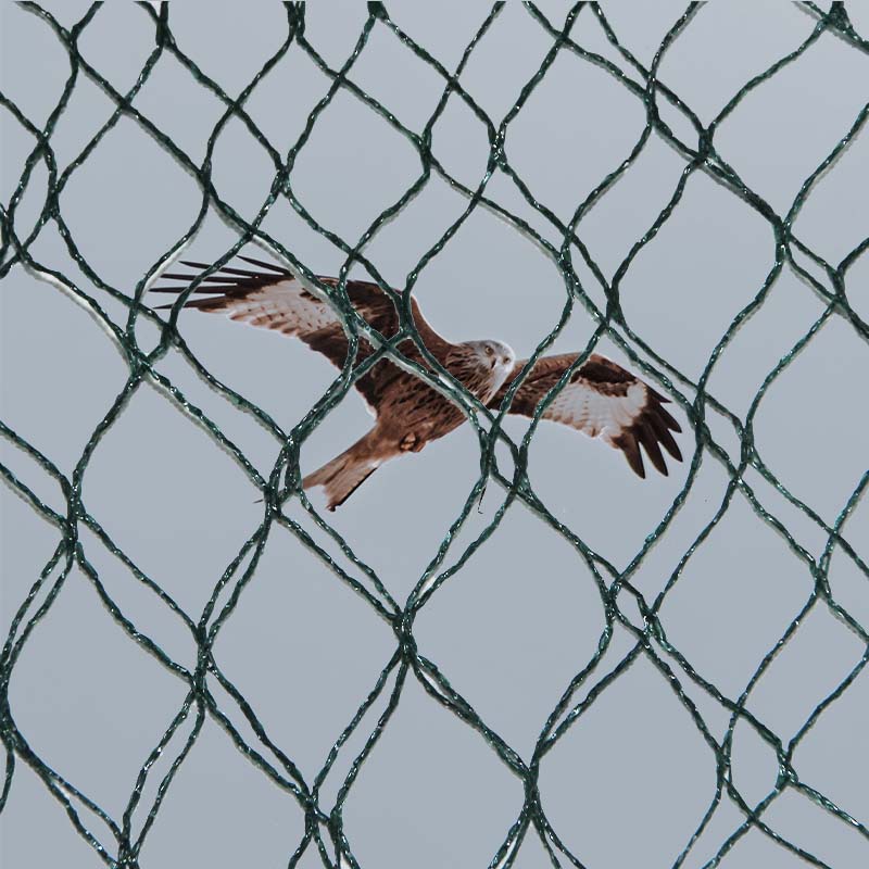 Quaenam sunt electiones materiales et commoda et incommoda avium praeventionis retium?