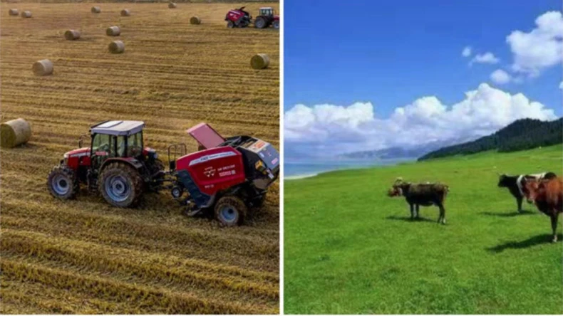 Bale retis applicatio in agriculturae actionibus involvent