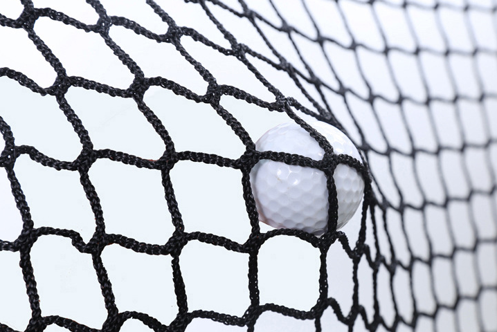 Quid usu golf usu rete