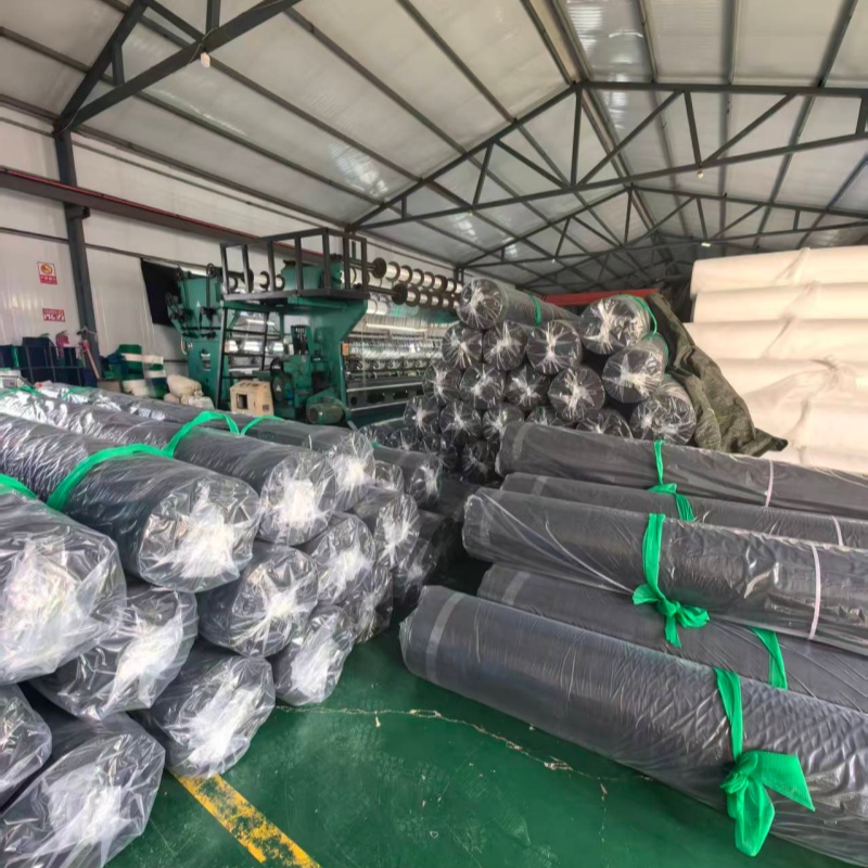 Duplex Plastic: Busy Cargo Shipping Scene fortis fortitudo
