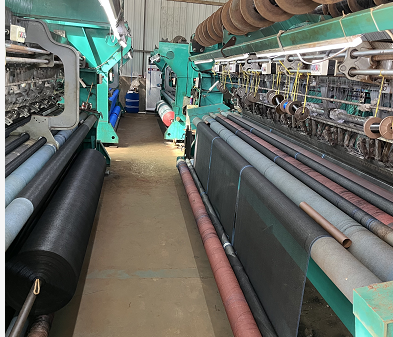 Yantai Double Showcases Lorem Productio Anti avis Net et umbra Net