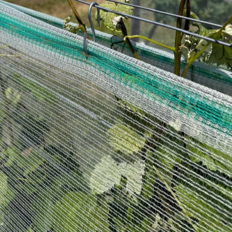 Agriculture HDPE Anti-Ave Netting