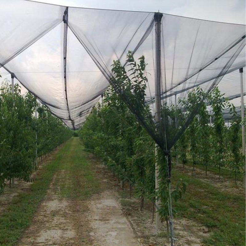 Agriculture Plastic Anti Hail Net