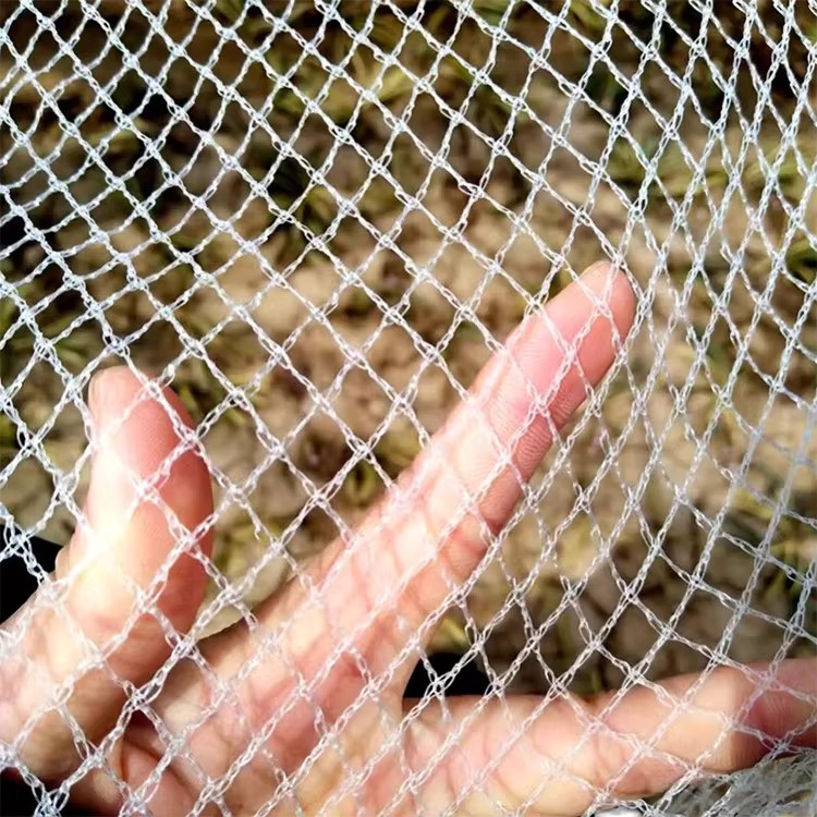 Anti-Ave Polyethylene Bird Praesidium Nettes cum Plastic Mesh Custom Cut pro Agriculture