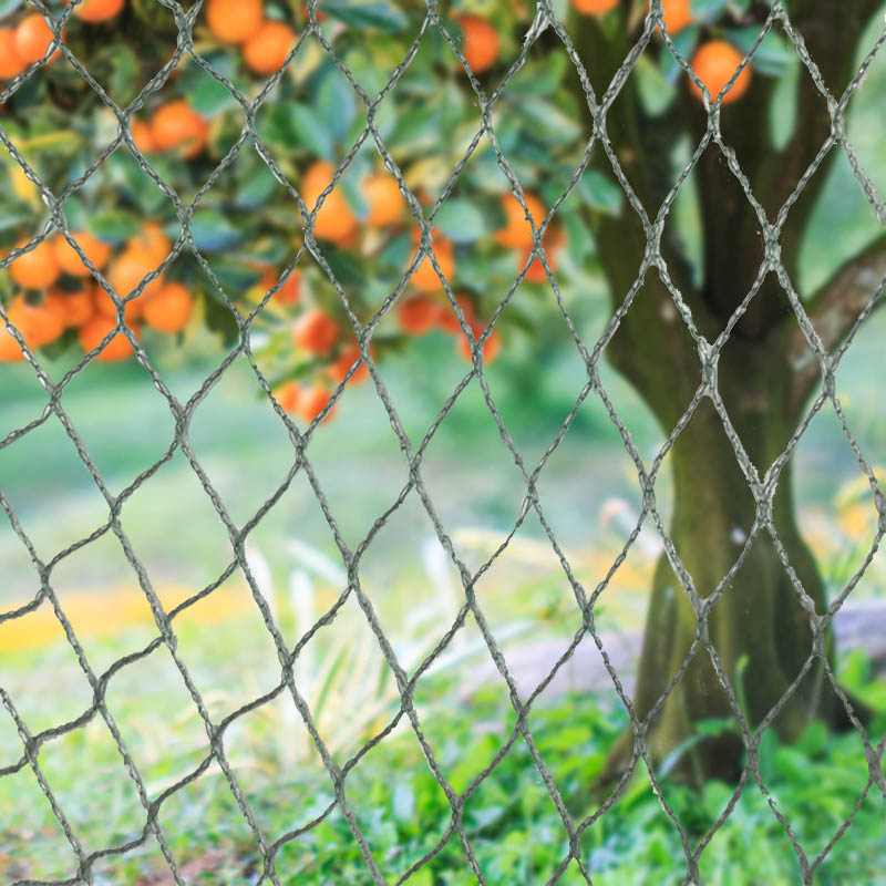 Avis Netting Animal Claustra