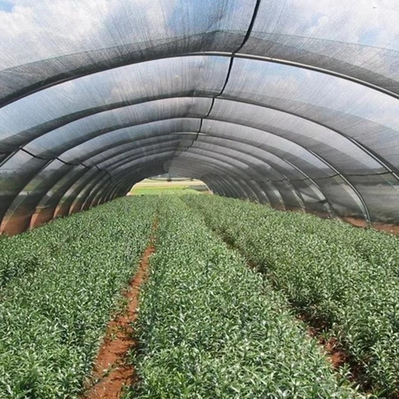 Hortus umbra Pannum enim Plantarum XL% soles Clausus