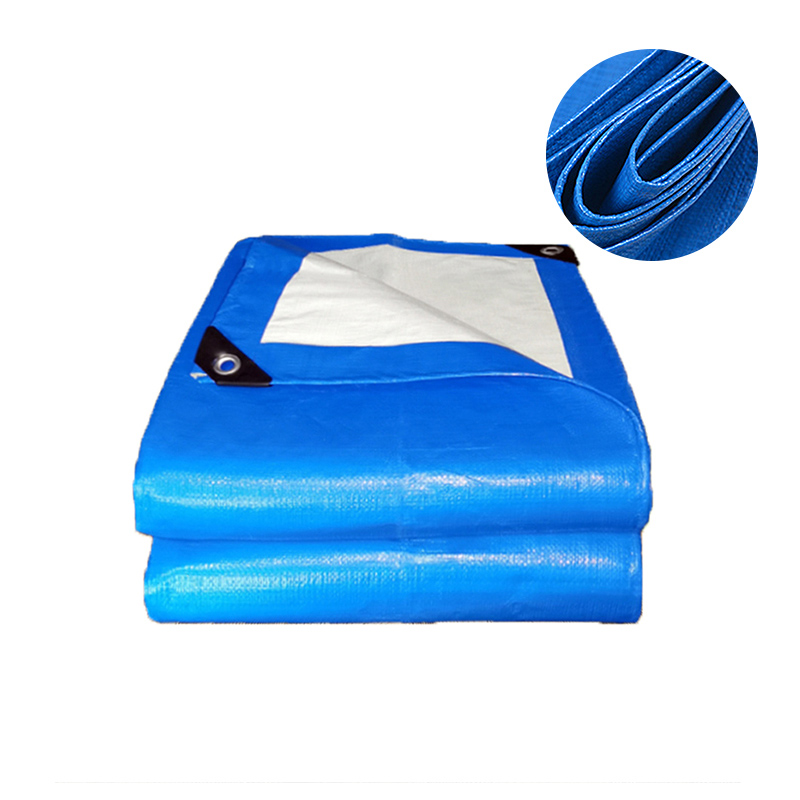 Poly Tarps auctus