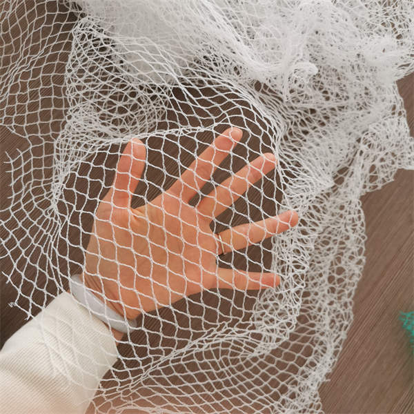 Alba Anti avis Probatur Netting